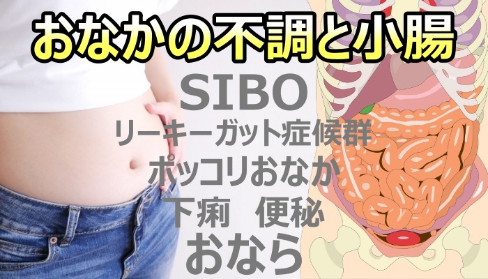 接骨院sasukeneのSIBO,リーキーガット症候群の解説