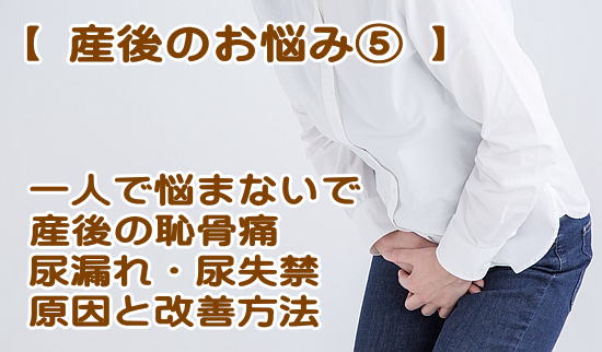 恥骨の痛みと尿漏れ 頻尿 の原因と改善 ままテン 産後骨盤矯正